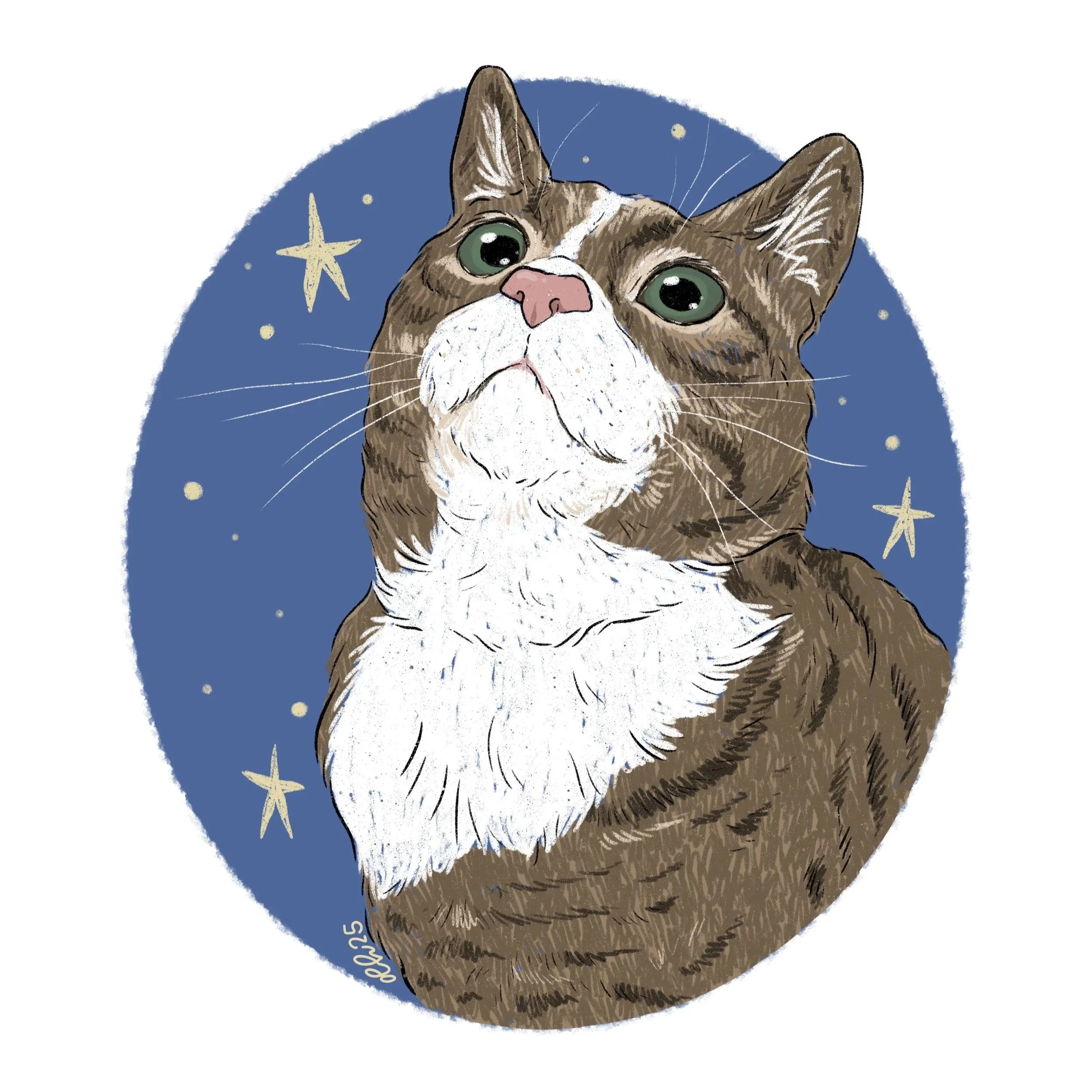 digital pet portrait illustration — creep can sleep